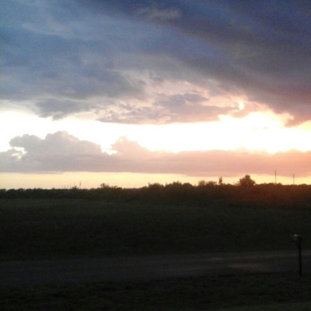 Meet your Posher, Vivian